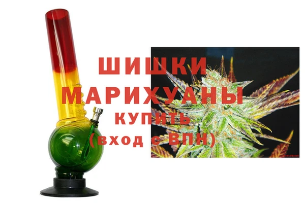 ГАЛЛЮЦИНОГЕННЫЕ ГРИБЫ Михайлов