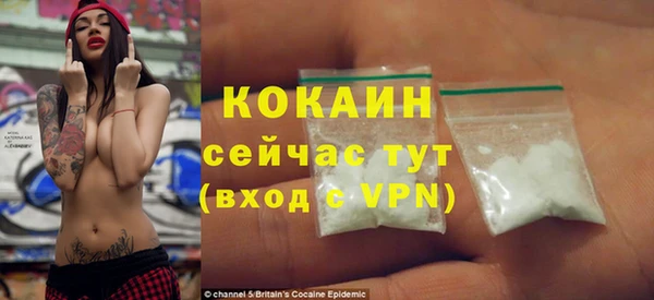 ГАЛЛЮЦИНОГЕННЫЕ ГРИБЫ Михайлов