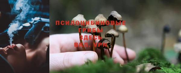 амф Михайловка
