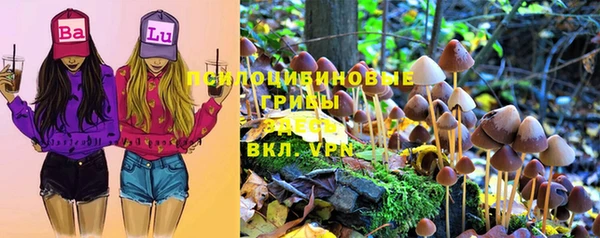 амф Михайловка