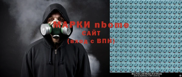ГАЛЛЮЦИНОГЕННЫЕ ГРИБЫ Михайлов