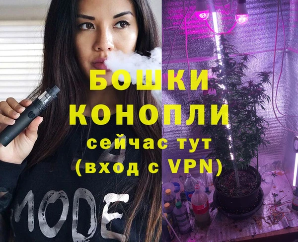 ГАЛЛЮЦИНОГЕННЫЕ ГРИБЫ Михайлов